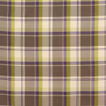 Osborne & Little LISTOWEL F6165-04 Chocolate brown with lime green and purple accents