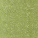 Osborne & Little ORIOLE F6461-03 Vibrant apple green with subtle lighter green textural highlights