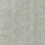 Osborne & Little ORIOLE F6461-11 Cool pewter grey with lighter silver textural highlights