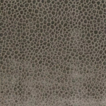 Osborne & Little KURI F6710-07 Soft taupe background with darker olive grey spotted accents