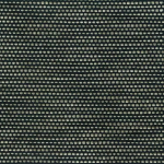 Osborne & Little ZAMBA F6780-04 Dark teal green with light cream textured accents