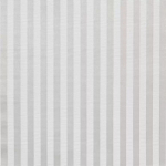 Osborne & Little BREEZE STRIPE