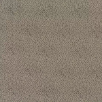 Osborne & Little MACKLIN F6980-06 Soft taupe background with darker brown textured pattern