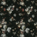 Osborne & Little PELLESTRINA F7180-01 Dark charcoal background with cream flowers and dusty rose accents