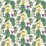 Osborne & Little TRAILING ORCHID OUTDOOR F7443-01 Emerald green leaves with pale yellow flowers on white background