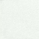 Osborne & Little SURF F7543-03 Pure off-white with subtle cool grey undertones