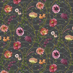 Osborne & Little LAMORRAN TRAIL F7671-04 Pink, burgundy and peach flowers with green stems on charcoal backg...