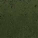 Osborne & Little SAMBURU F7800-02 Deep forest green with rich olive undertones