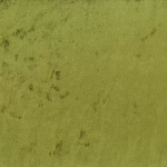Osborne & Little MERU F7801-01 Olive green with muted sage undertones throughout