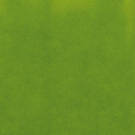 Osborne & Little LAGOON F7863-08 Bright apple green with yellow-toned vibrancy