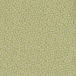 Nina Campbell KIRKHAM NCF4081-06 Light apple green with cream circular accents throughout