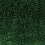 Nina Campbell LIZONG NCF4160-03 Deep forest green with darker emerald highlights