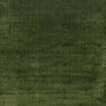 Nina Campbell CANTABRIA NCF4211-09 Mossy olive green with forest undertones