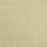 Nina Campbell ASSISI NCF4260-03 Pale olive green and cream with muted neutral undertones