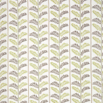 Nina Campbell PLUMIER NCF4462-05 Lime green and deep brown on white background