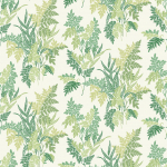 Nina Campbell FERN CRAZE NCF4533-01 Forest green and sage green on cream background
