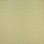 Osborne & Little Calathea F7442-01 Lime, White