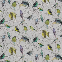 Osborne & Little AVIARY