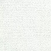 Osborne & Little SURF