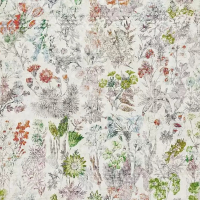 Osborne & Little HERBARIA
