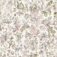 Osborne & Little HERBARIA