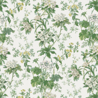 Nina Campbell SOMERHILL