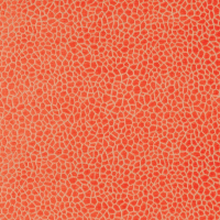 Matthew Williamson Kairi Fabric