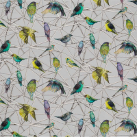 Osborne & Little Aviary Fabric