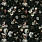 Black F7180-01