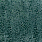 Green NCF4160-01