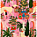 Pink FB00131